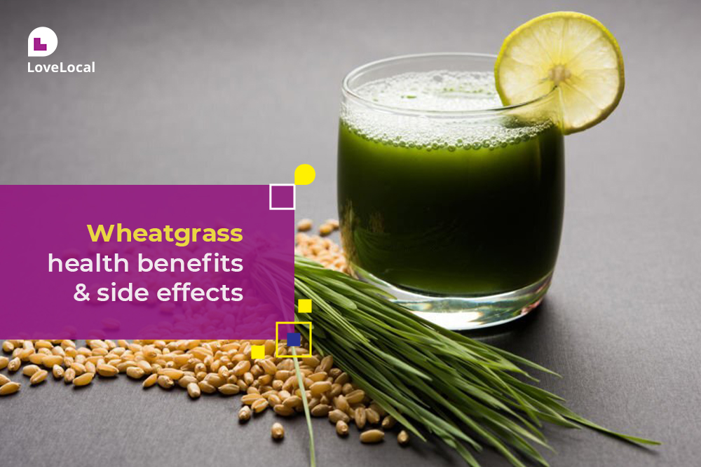 Wheatgrass Benefits And Side Effects Lovelocal 