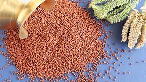 finger millet Benefits - LoveLocal -lovelocal.in