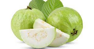 Guava (Psidium guajava) | LoveLocal