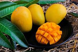 all about Mangoes | LoveLocal