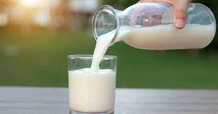 Milk is rich in protein | LoveLocal