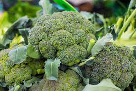 Broccoli | LoveLocal | lovelocal.in